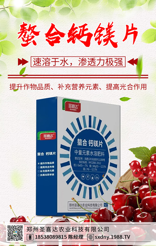 ������ԓ��������������˵ĸ߮a(ch��n)����������g