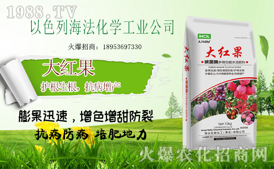 ��ɫ�к����ٺ����r(n��ng)���W(w��ng)����ȭ�����r(n��ng)�Y�W(w��ng)�j(lu��)�Ј���