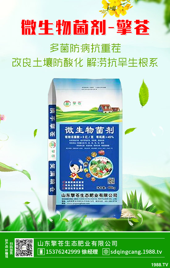 2020-4-23近期二銨市場需求一般!最新磷酸二銨行情走勢預(yù)測!