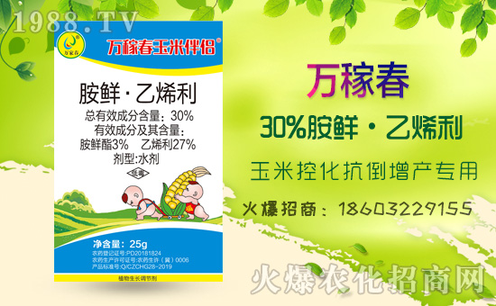 �������f�ڴ���(qi��ng)�����v���r(n��ng)�����̾W(w��ng)����(sh��)�F(xi��n)��I(y��)�°l(f��)չ��