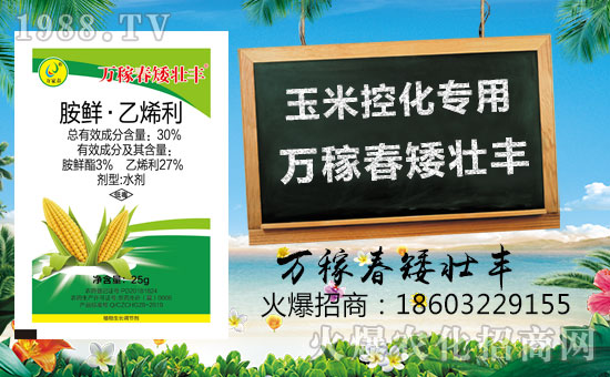 �������f�ڴ���(qi��ng)�����v���r(n��ng)�����̾W(w��ng)����(sh��)�F(xi��n)��I(y��)�°l(f��)չ��