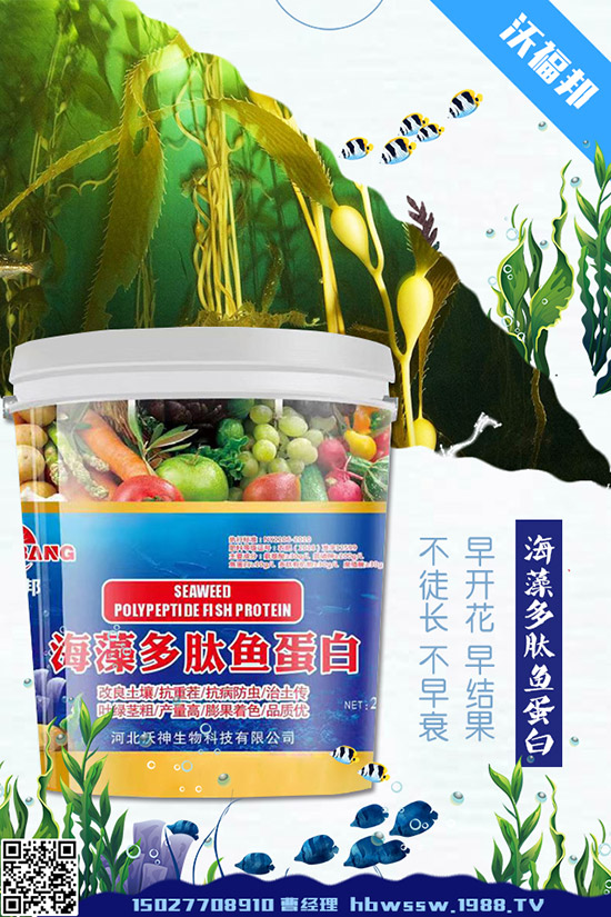     ���ӷNֲ��Ҫע����Щ���}�����ӵ�ˮ�ʹ���Ҫ�c(di��n)��