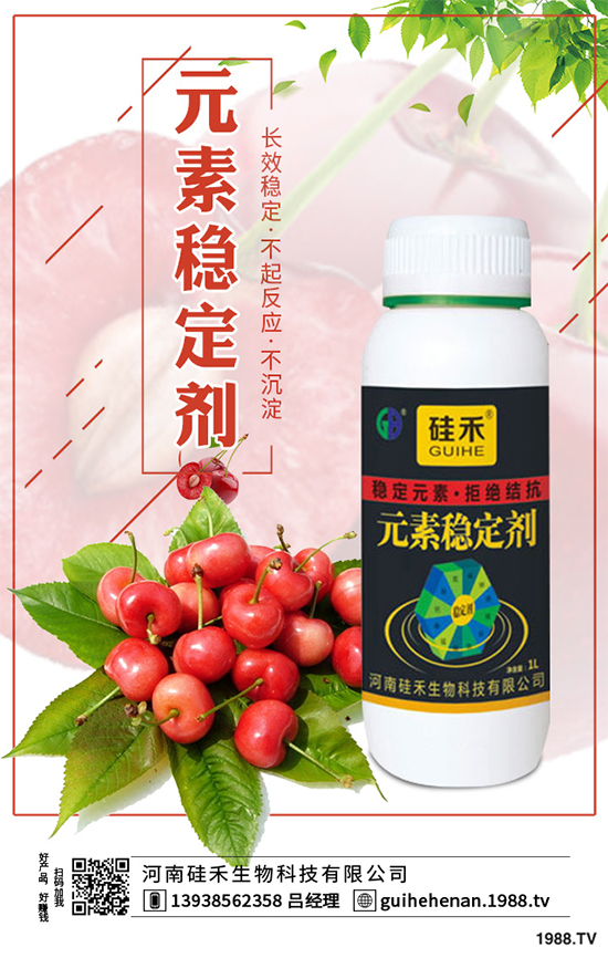 ��ˎԓ��ô�Nֲ����ˎ�Nֲ�İ˴��E��������(hu��)���