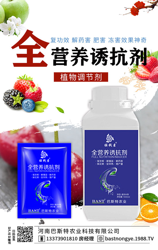 �Y(ji��)����{(l��n)��ôʩ�����Y(ji��)����{(l��n)��ʩ�ʼ��g(sh��)��