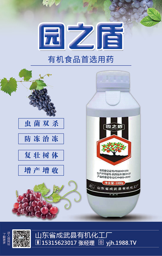 �����������������ʩ�ʼ��g(sh��)��Ҫ�c(di��n)��