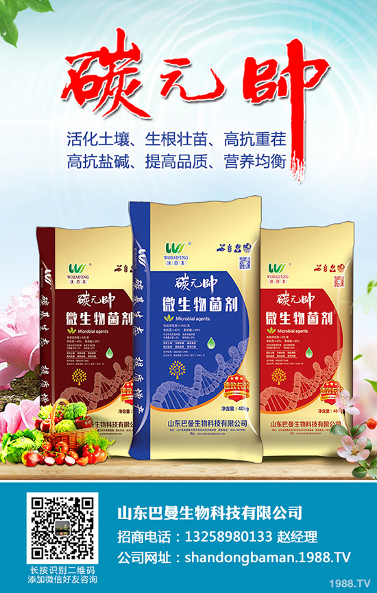 小麥干麥頭、死麥穗怎么辦?白穗、干穗、死穗的原因大全!如何預(yù)防?