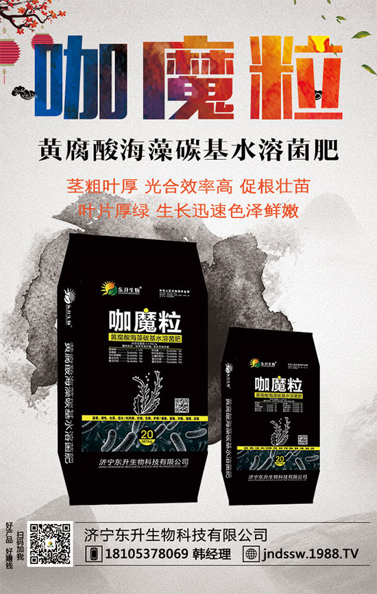 С����ʲô�g�Nֲ�r��С���۷Nֲ����Ҫ�c��