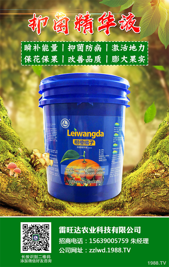 �~�Ȳ��Ј��r������Xһ����2020���~�ȲݵķNֲЧ�����