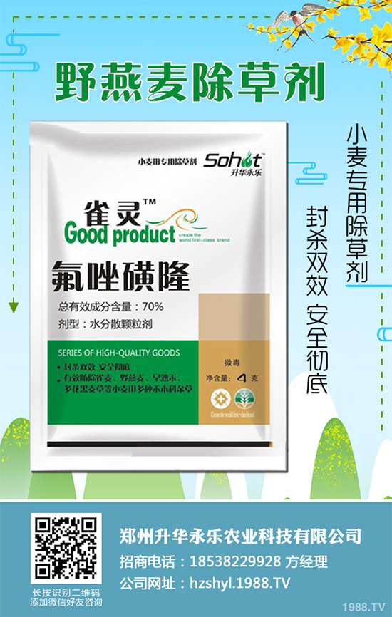 ɣ�@���݄��r(ji��)��