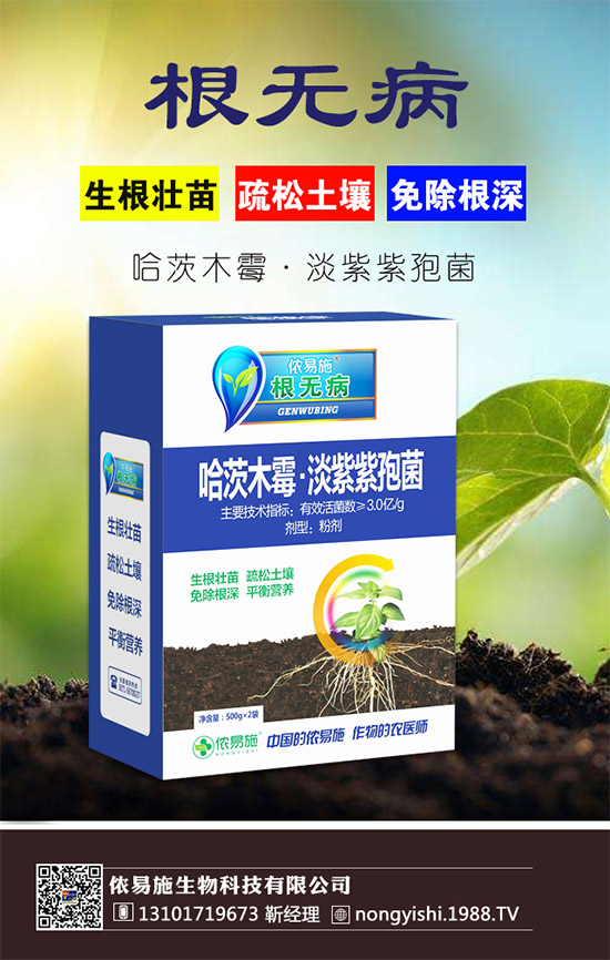 �������x������(j��)���z��ʩ�ٺ�1988.TV������(sh��)�F(xi��n)�v�w��(m��ng)��