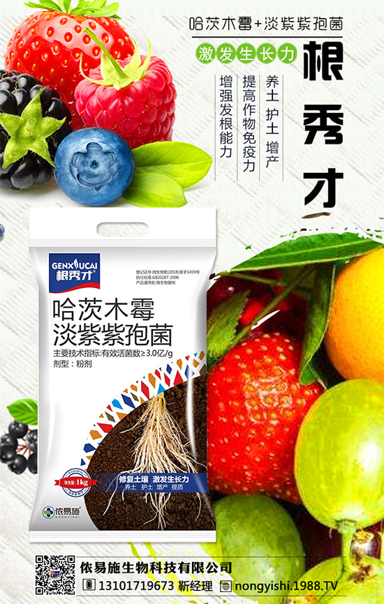 �������x������(j��)���z��ʩ�ٺ�1988.TV������(sh��)�F(xi��n)�v�w��(m��ng)��