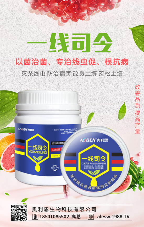 豌豆基腐病有什么危害?豌豆基腐病的發(fā)生規(guī)律及防治!