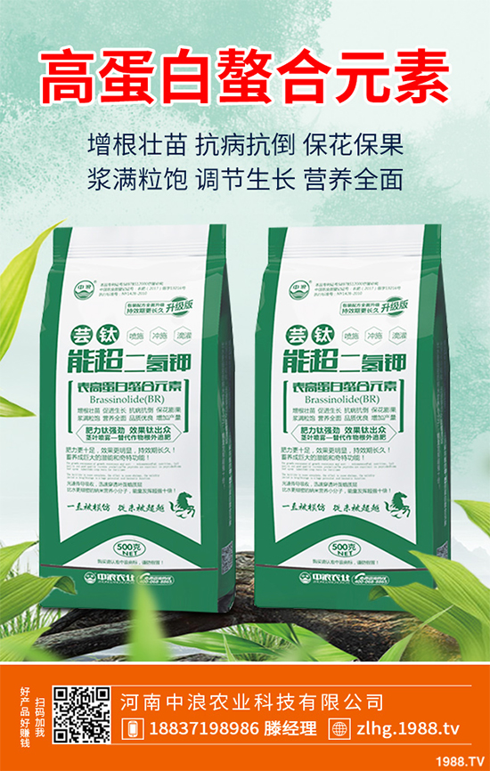 山楂什么時(shí)候種植?山楂樹(shù)高產(chǎn)種植方案