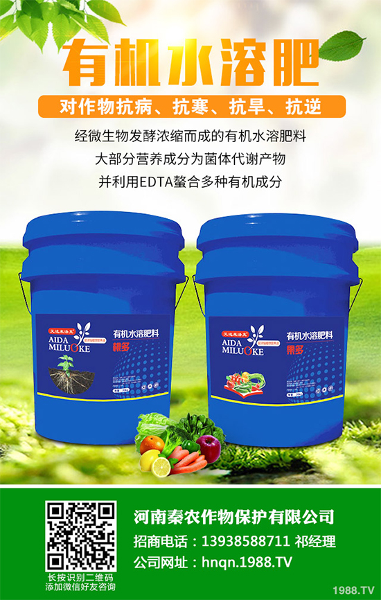 山楂什么時(shí)候種植?山楂樹(shù)高產(chǎn)種植方案