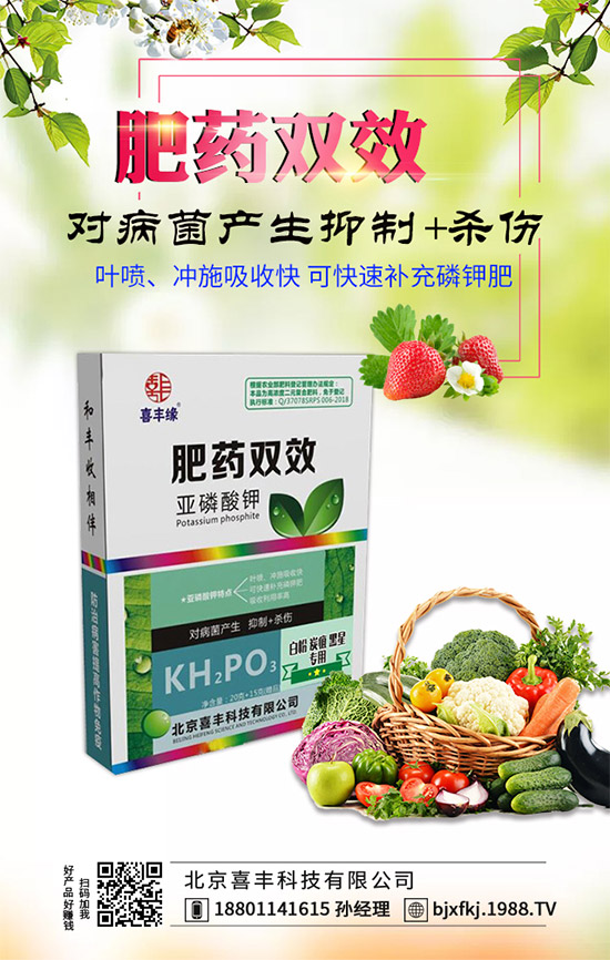 �������x���^�m(x��)�����r(n��ng)���W(w��ng)��ӭϲ�S�Ƽ����v��