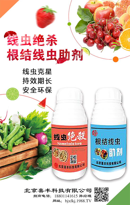 �������x���^�m(x��)�����r(n��ng)���W(w��ng)��ӭϲ�S�Ƽ����v��