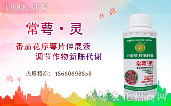 �r(n��ng)���W(w��ng)ϲӭ���������۹⼰�r(sh��)��ɹ����s1988.TV��