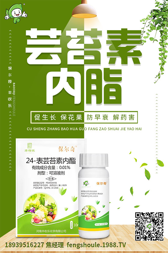 苦瓜苗怎么嫁接?苦瓜嫁接高產種植技術!