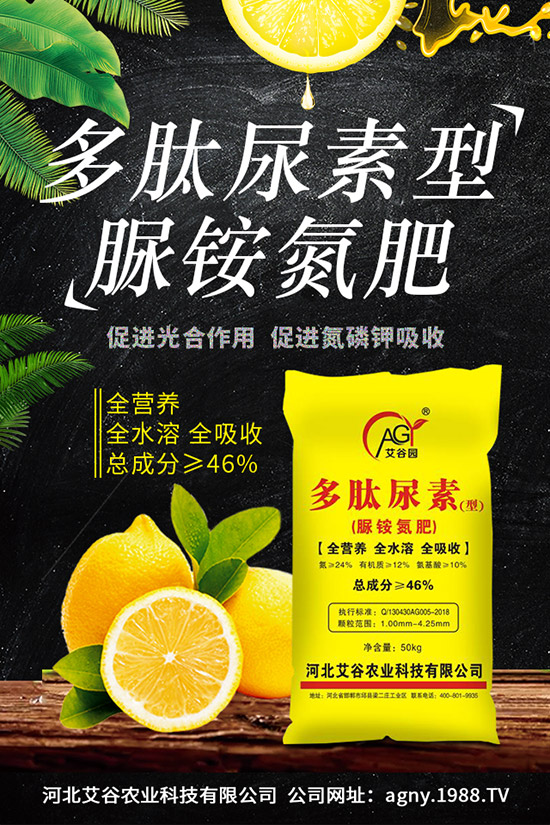 �ļ����NֲҪ�c(di��n)���ļ������缼�g(sh��)�����ڹ���