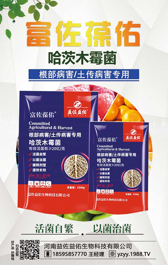 ���^����ʲô�I�B(y��ng)�rֵ�������^��ʲô��̎��