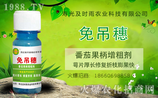 ���������������r���r(n��ng)�I(y��)�y��1988.TV���Aδ����