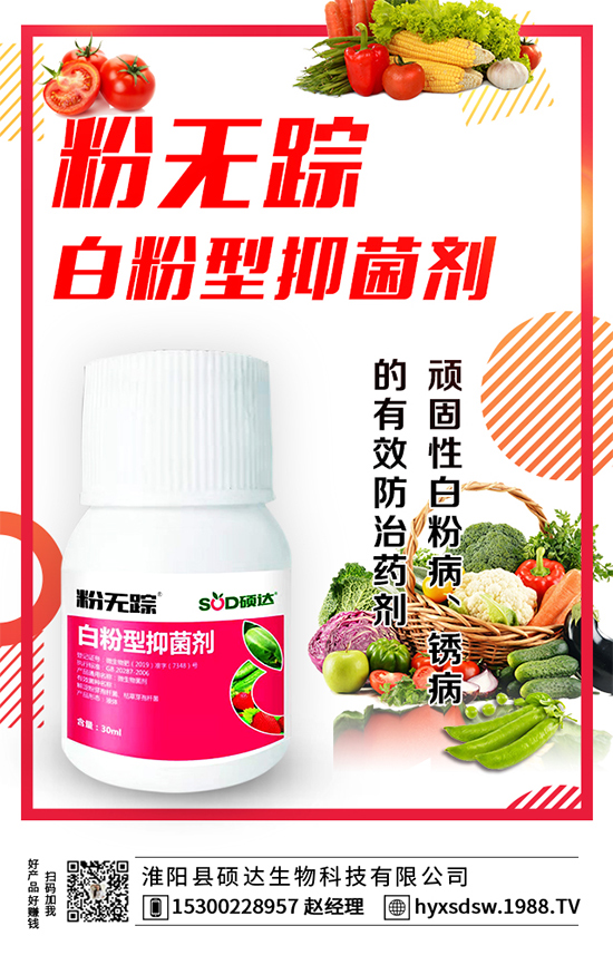 ������ô�Nֲ�������Nֲ���g(sh��)Ҫ�c(di��n)��