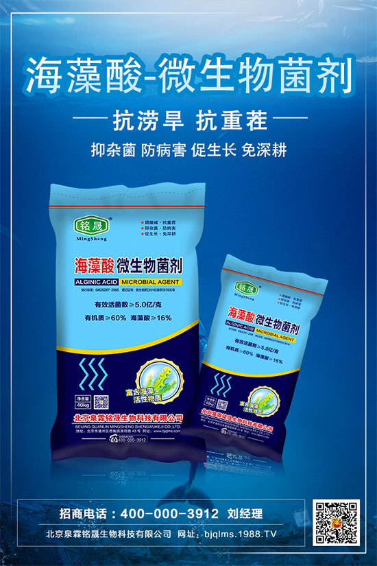     ����ֻ�_�����Y(ji��)����ʲôԭ��������������Ľ�Q��ʩ��