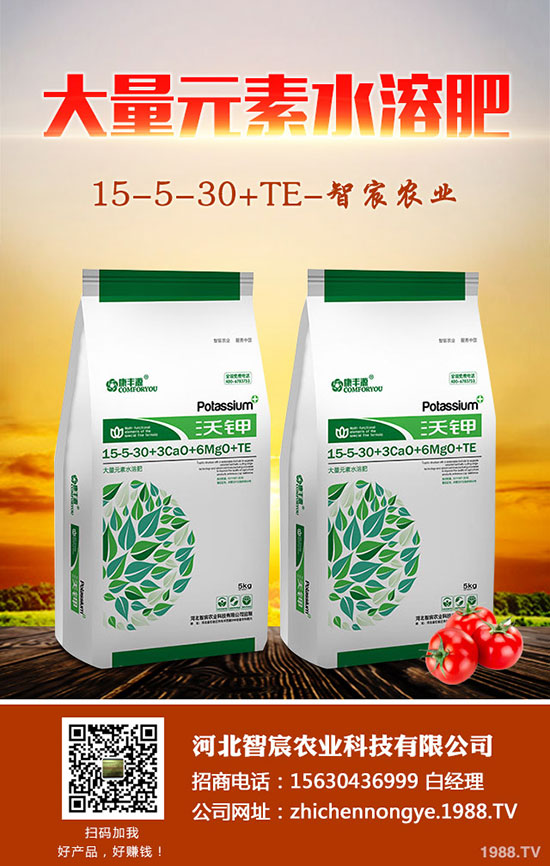 龍須鐵怎么養(yǎng),龍須鐵的養(yǎng)殖方法和注意事項(xiàng)