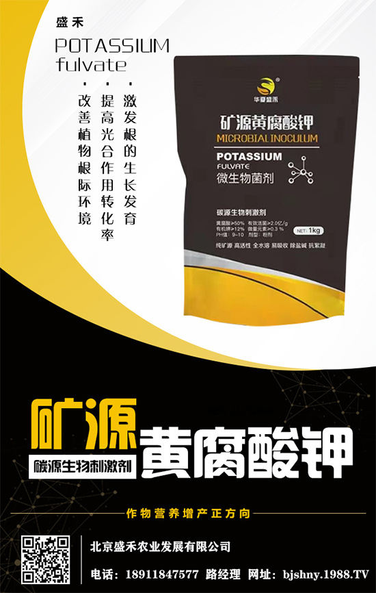     ����⛷�(w��n)���\(y��n)����2020.05.16⛷ʃr(ji��)�������߄�(sh��)������