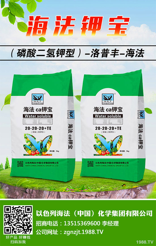 ⛷��Ј��r��