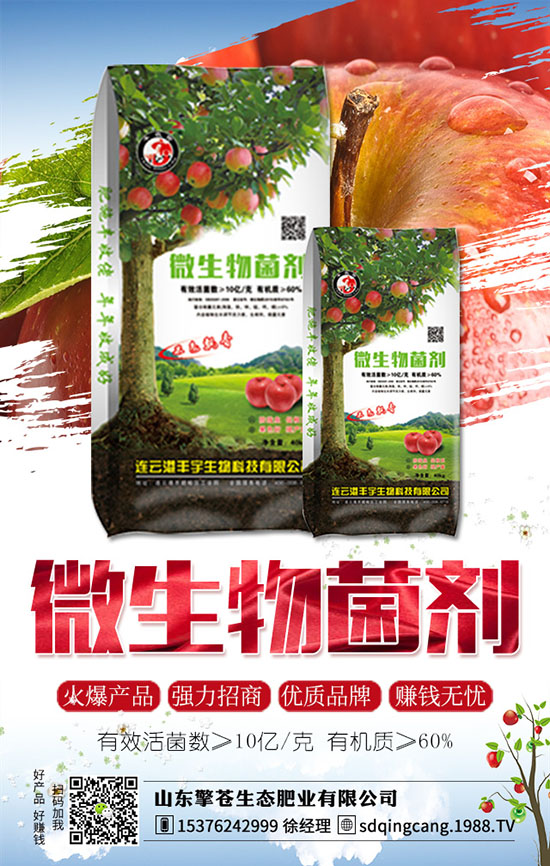 草莓發(fā)生肥害了怎么辦?如何避免?草莓肥害原因及補救措施!