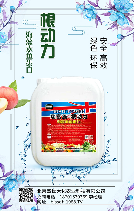 �Ә���ô���綨ֲ��������������M(j��n)�м޽���