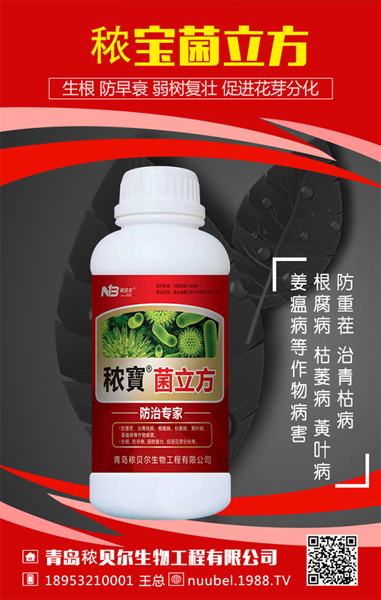 ���J��ô���N���������J�Ĳ��N���������L�^����