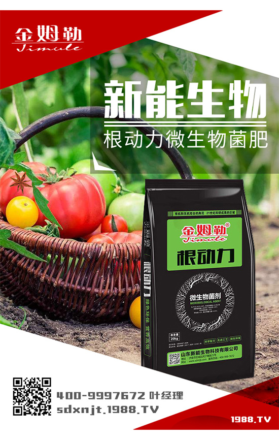 �������\�l(f��)չ��ɽ�|�����ٺ�1988.TV�_��(chu��ng)���x����