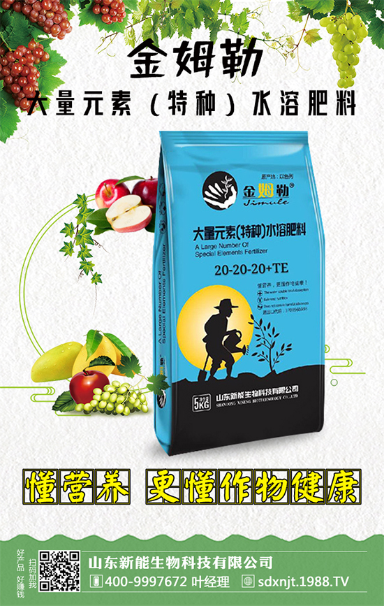 �������\�l(f��)չ��ɽ�|�����ٺ�1988.TV�_��(chu��ng)���x����