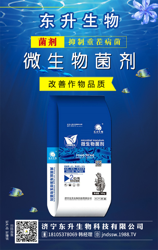 ���ƵĻ��Z(y��)��ʲô��ˮ����Ƶĵ��B(y��ng)�o(h��)������