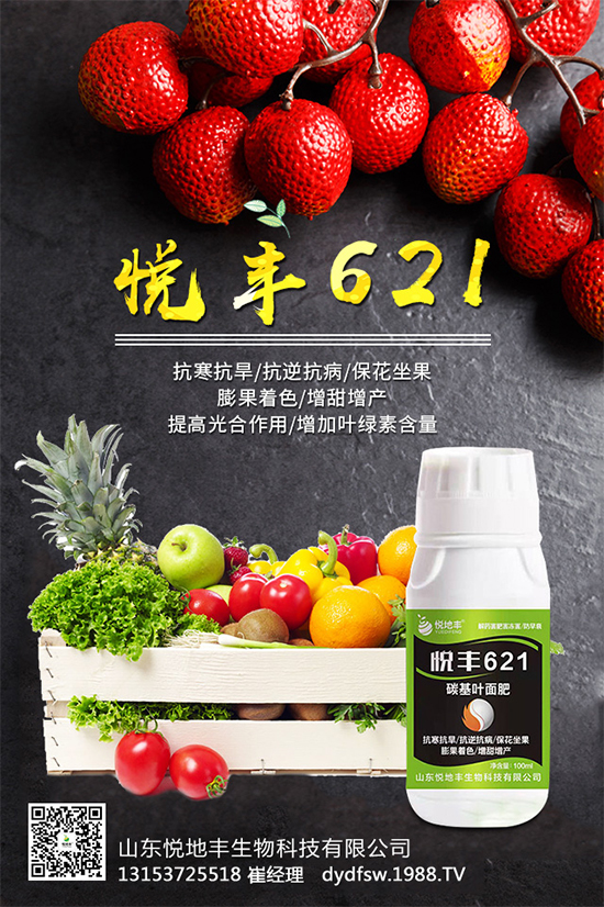 �t����֪��ԓ�����������