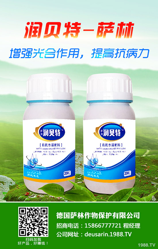 ��ۘ�(sh��)��ô�B(y��ng)����ۘ�(sh��)���B(y��ng)ֳ������ע�����(xi��ng)