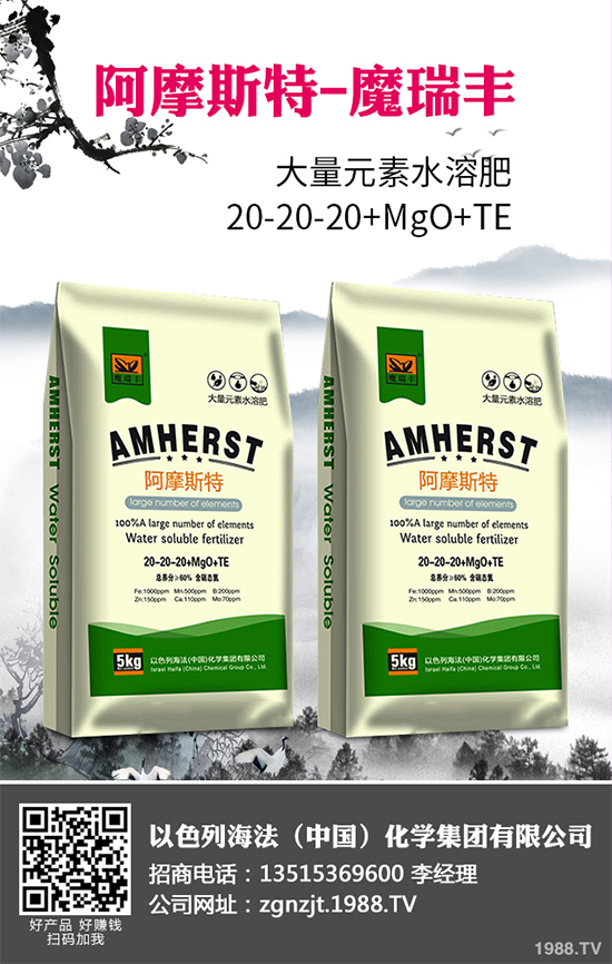 ���؃r(ji��)��