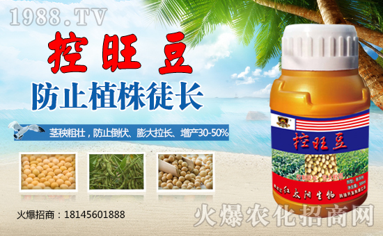 ����������(j��)���t̫�(y��ng)�����ٺ�1988.TV���y�ֹ��A2020��