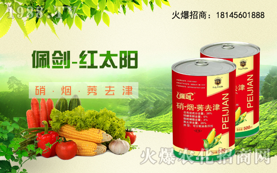 ����������(j��)���t̫�(y��ng)�����ٺ�1988.TV���y�ֹ��A2020��