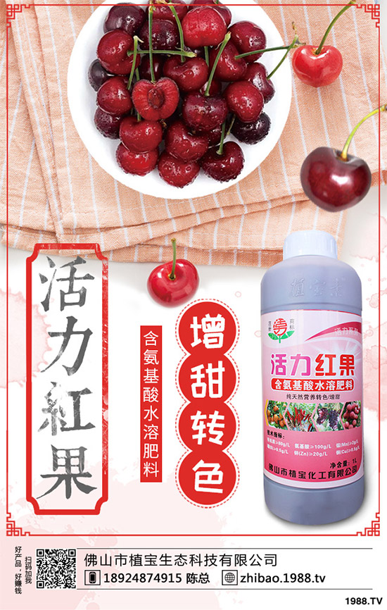     һ�@ӆ�����@�������������@�r(ji��)�������Ո�(b��o)