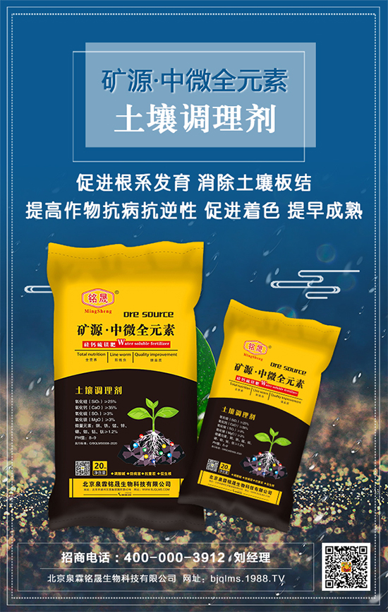 ��֥��ʲô�r�g�Nֲ����֥�����༼�gҪ�c��