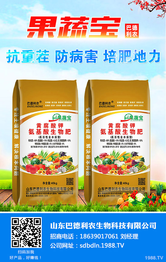     �½�ʲô�r(sh��)�g���N���^�����޻��粥��������̎��ȱ�c(di��n)����Щ��