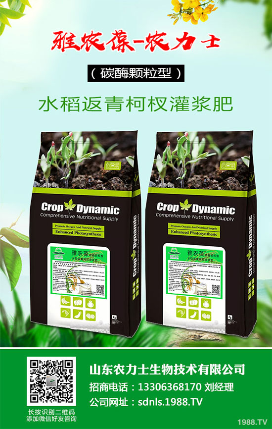 1�R���ԓ����ЉK�Nֲ���R����ЉK�Nֲ���g(sh��)��ע�����(xi��ng)