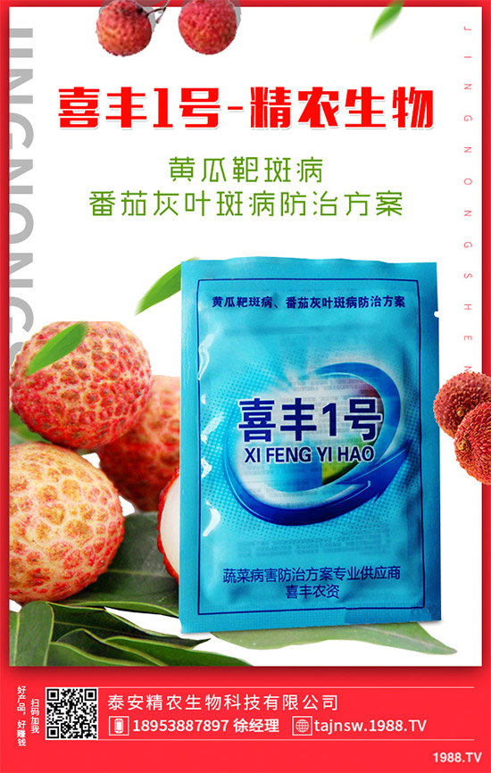 �V���X�ݷNֲ��Ҫ��Щ�l�����V���X��Ǥ������Ҫ�c��