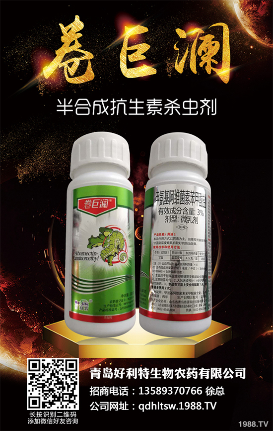 �����x���r(ji��)�������Ո�(b��o)