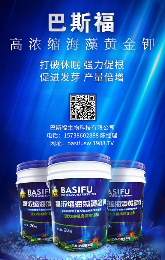 玉米施肥的更佳時(shí)間是啥時(shí)候? 咋樣施效果好?