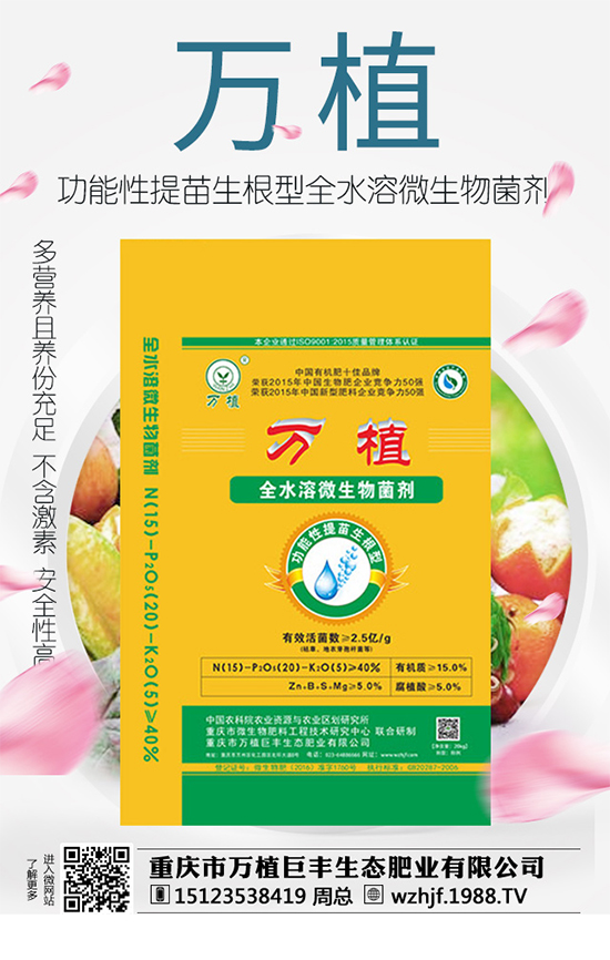     ��(zh��n)�Ժ������������fֲ���S�y��1988.TV�ل�(chu��ng)�x����