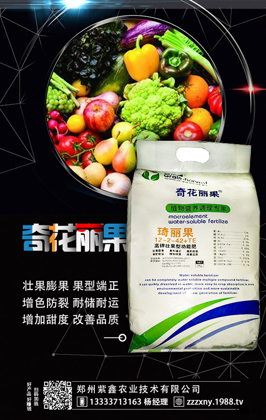 ��ݮĸ�綨ֲ������ʩ�ʣ����ӝ�ˮ��